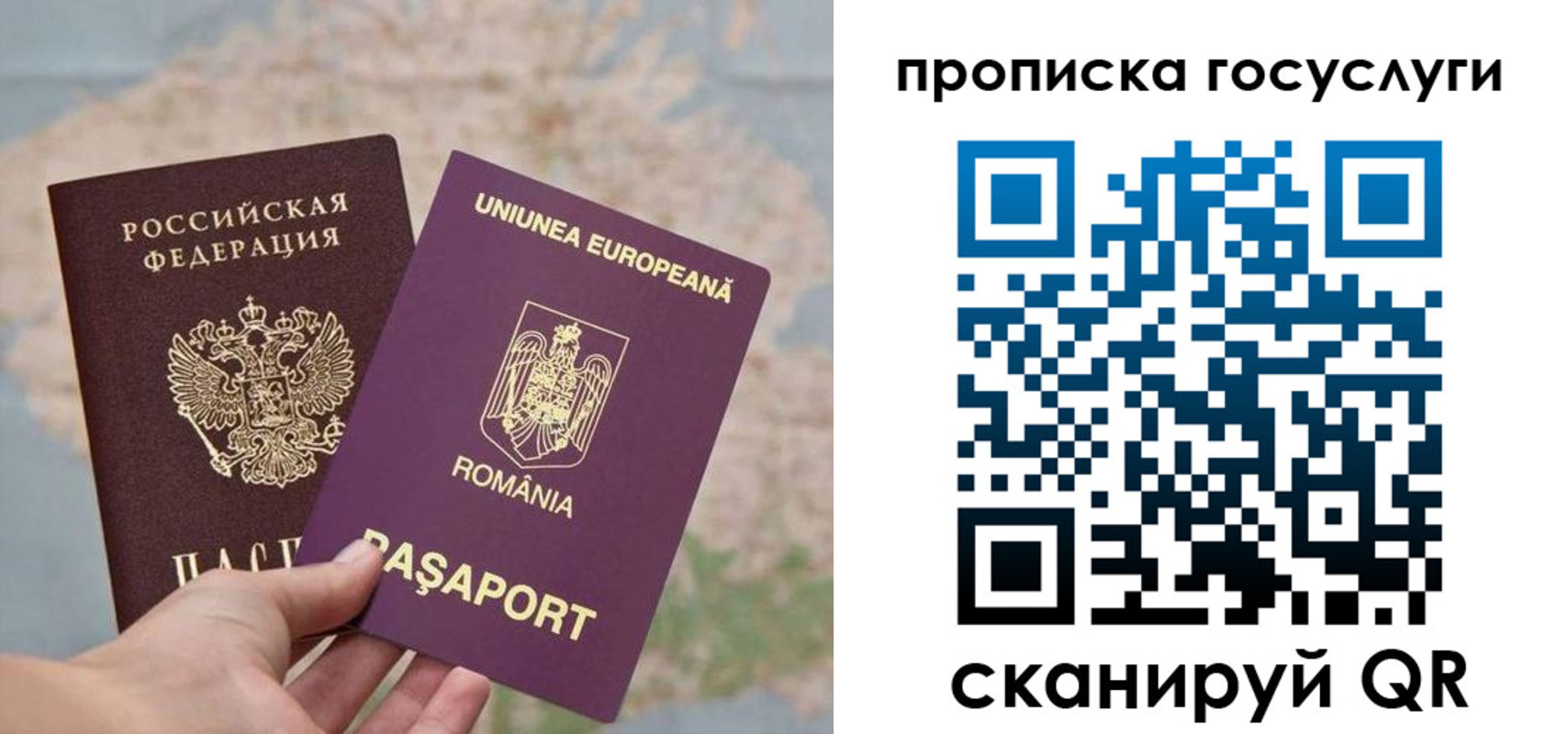 прописка паспорт в Ельне